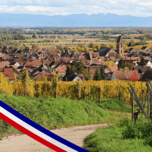 De la ruralité dans la politique nationale : soutien, ou oubli ?